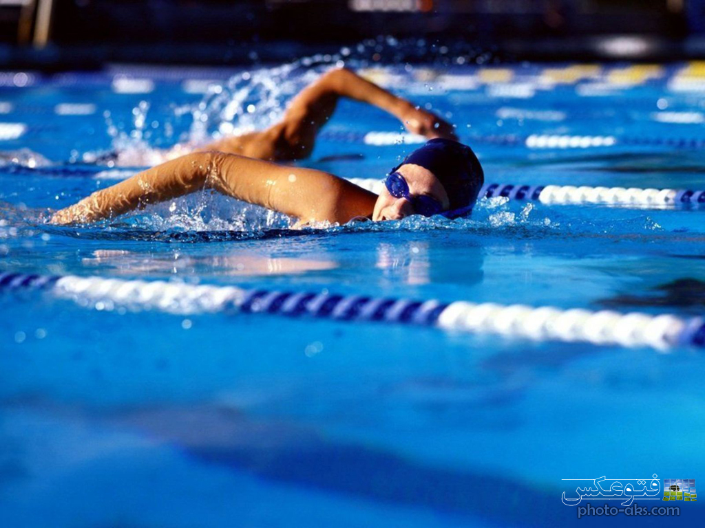 Swimming Petitions Wallpaper