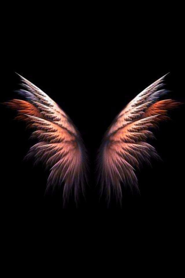 Pin De Anon Em Wings Art Papel Parede Preto Arte Anjo