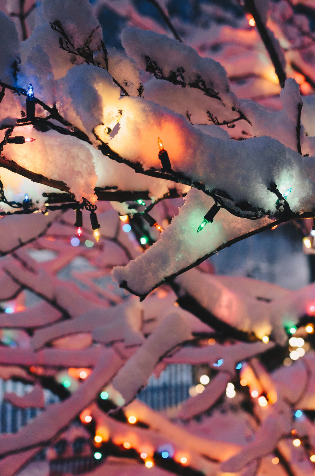 Bring Joy To Every Room With Colorful Christmas Lights This Wallpaper