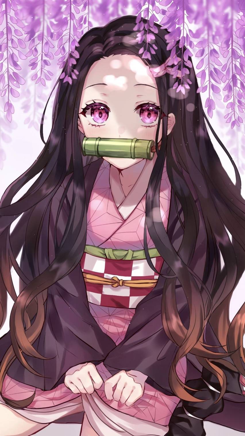 Nezuko Background Images Free Wallpapers