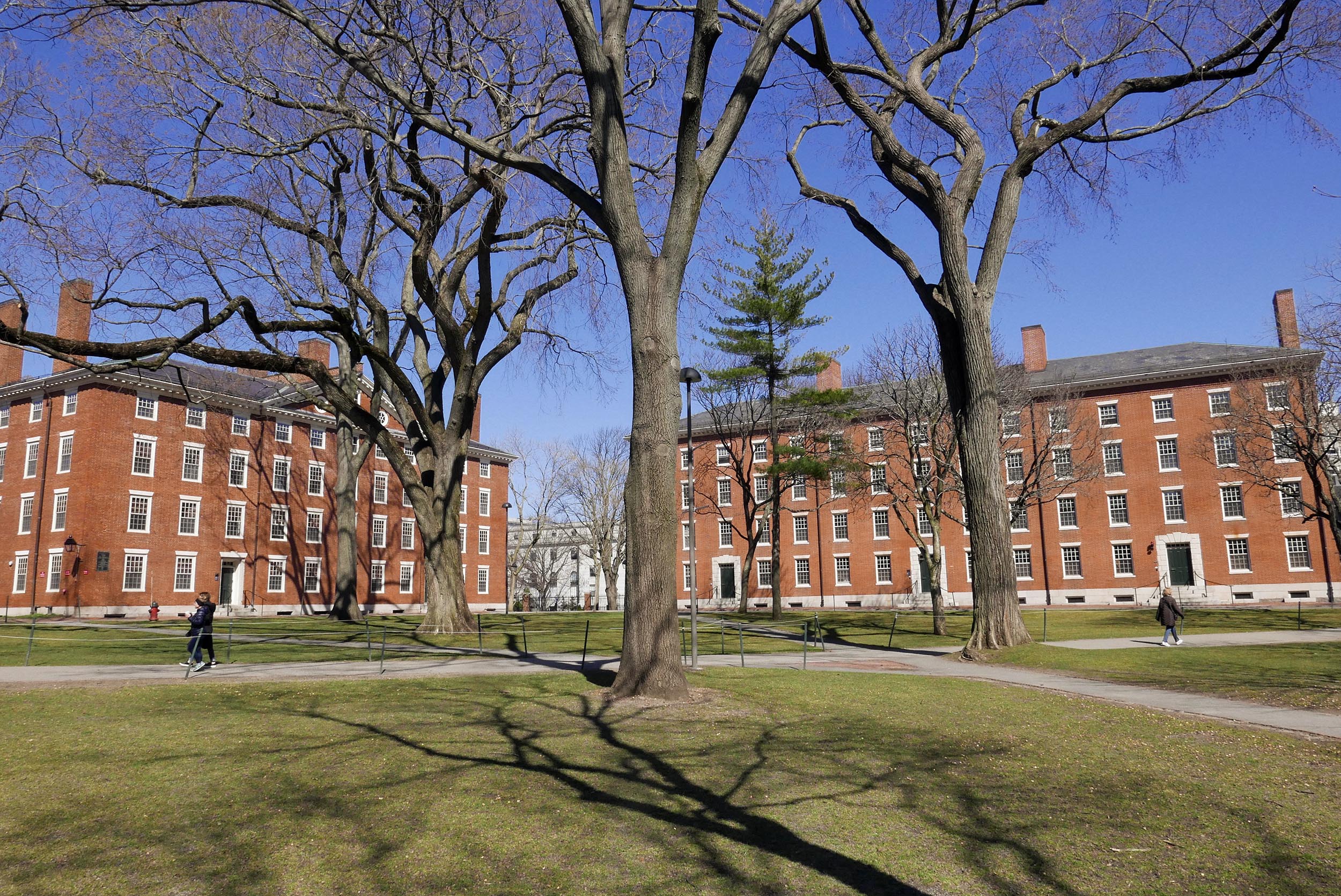 Harvard Background On Zoom Brings Campus To Life Gazette