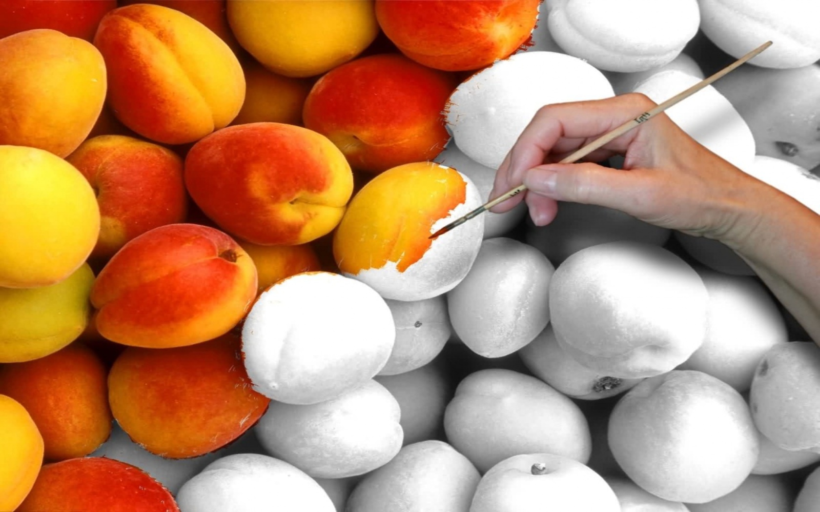Peaches 3d art gray orange peach