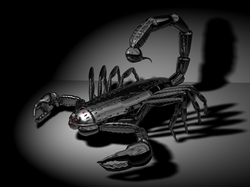 Cool Metallic Scorpion That Looks Like It S Built From Liquid Metal