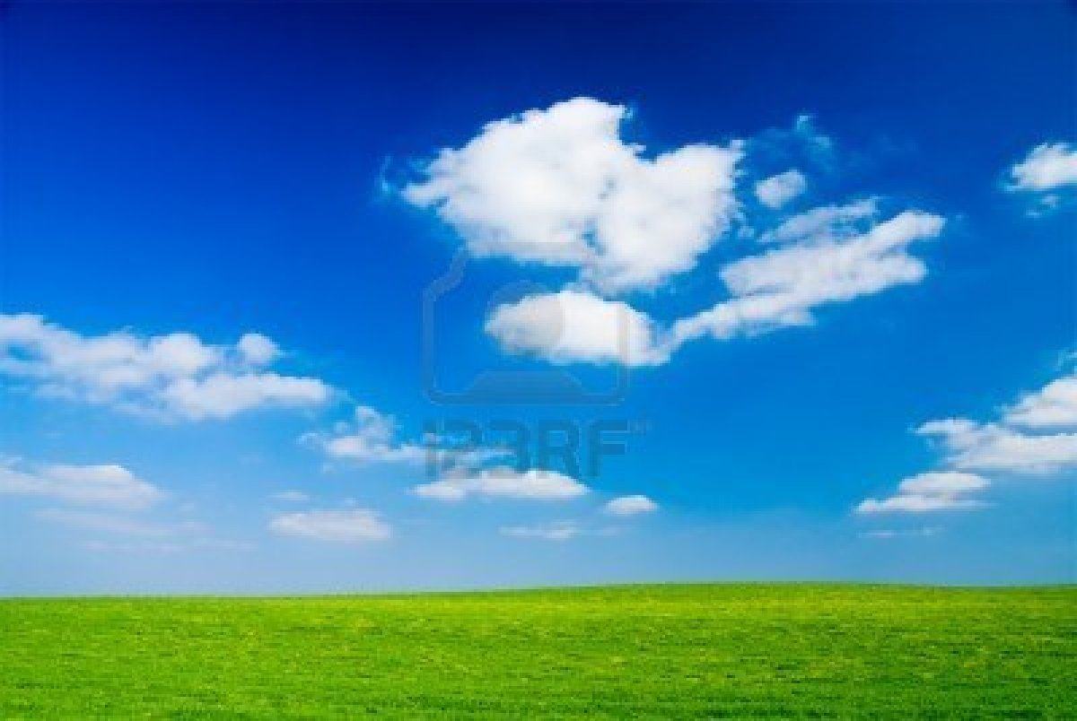 Green Grass Blue Sky Wallpaper Nature HD Background