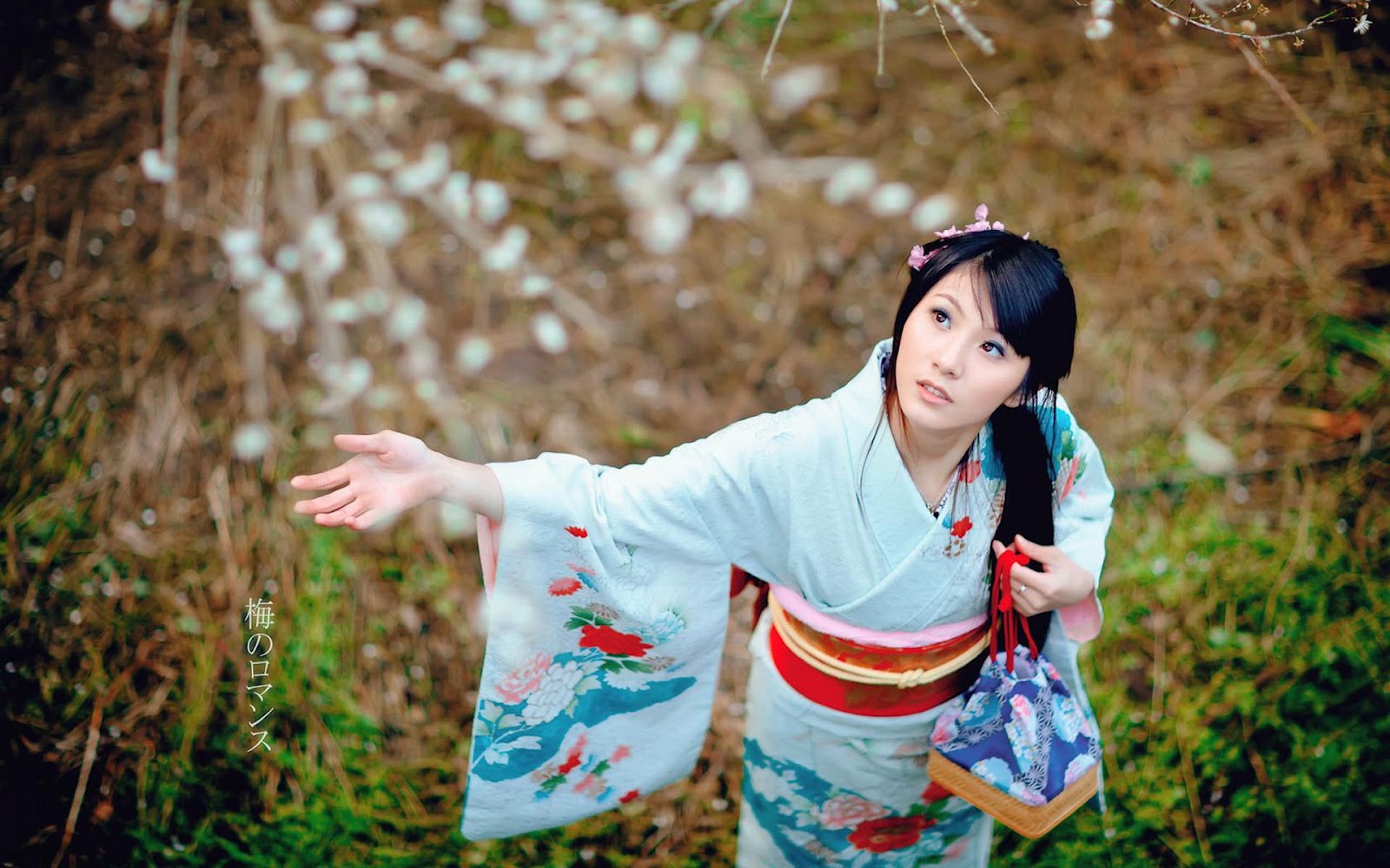 Japanese Girl Wearing Furisode Long Sleeved Kimono