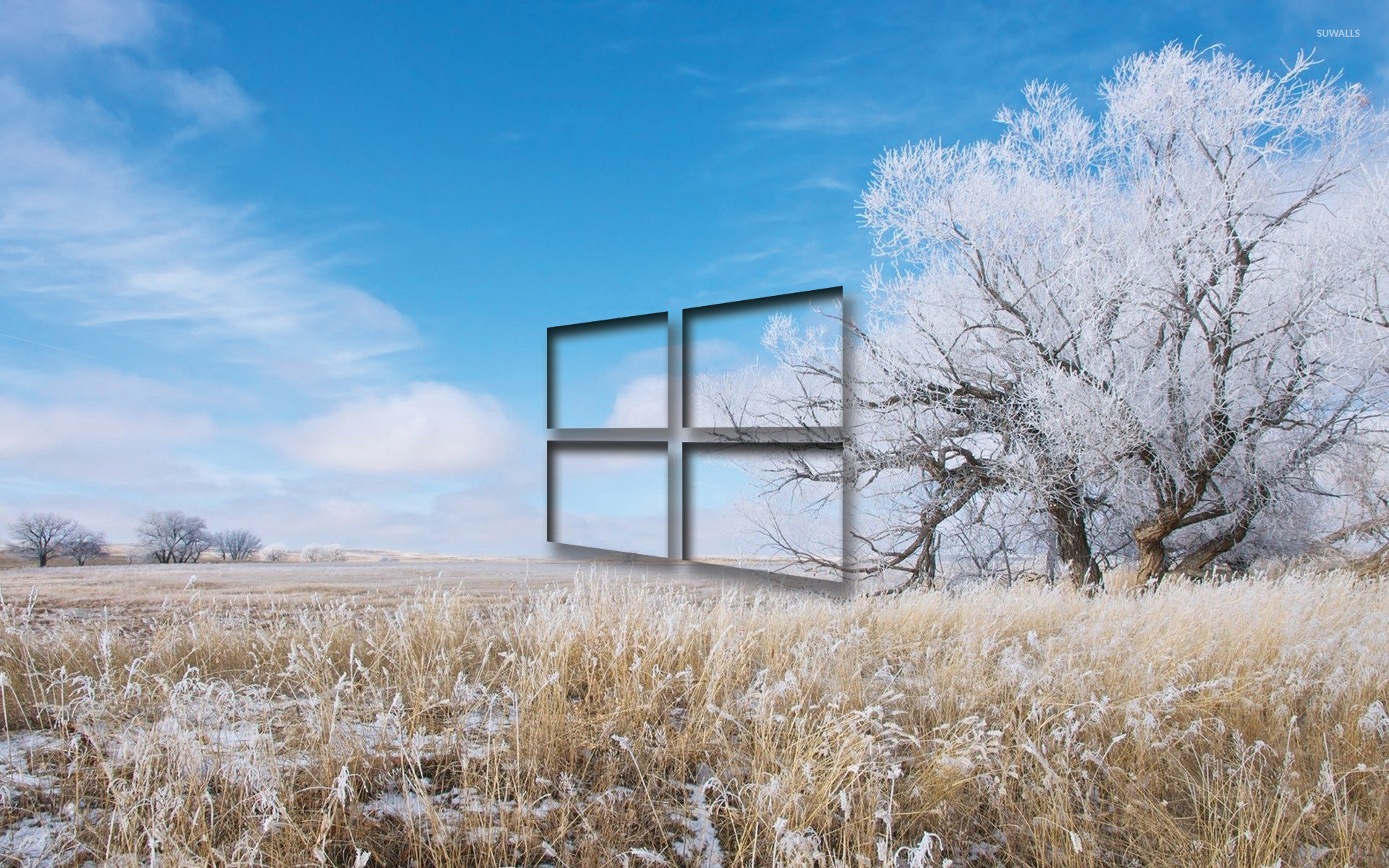Windows Transparent Logo Over The Frosty Field Wallpaper