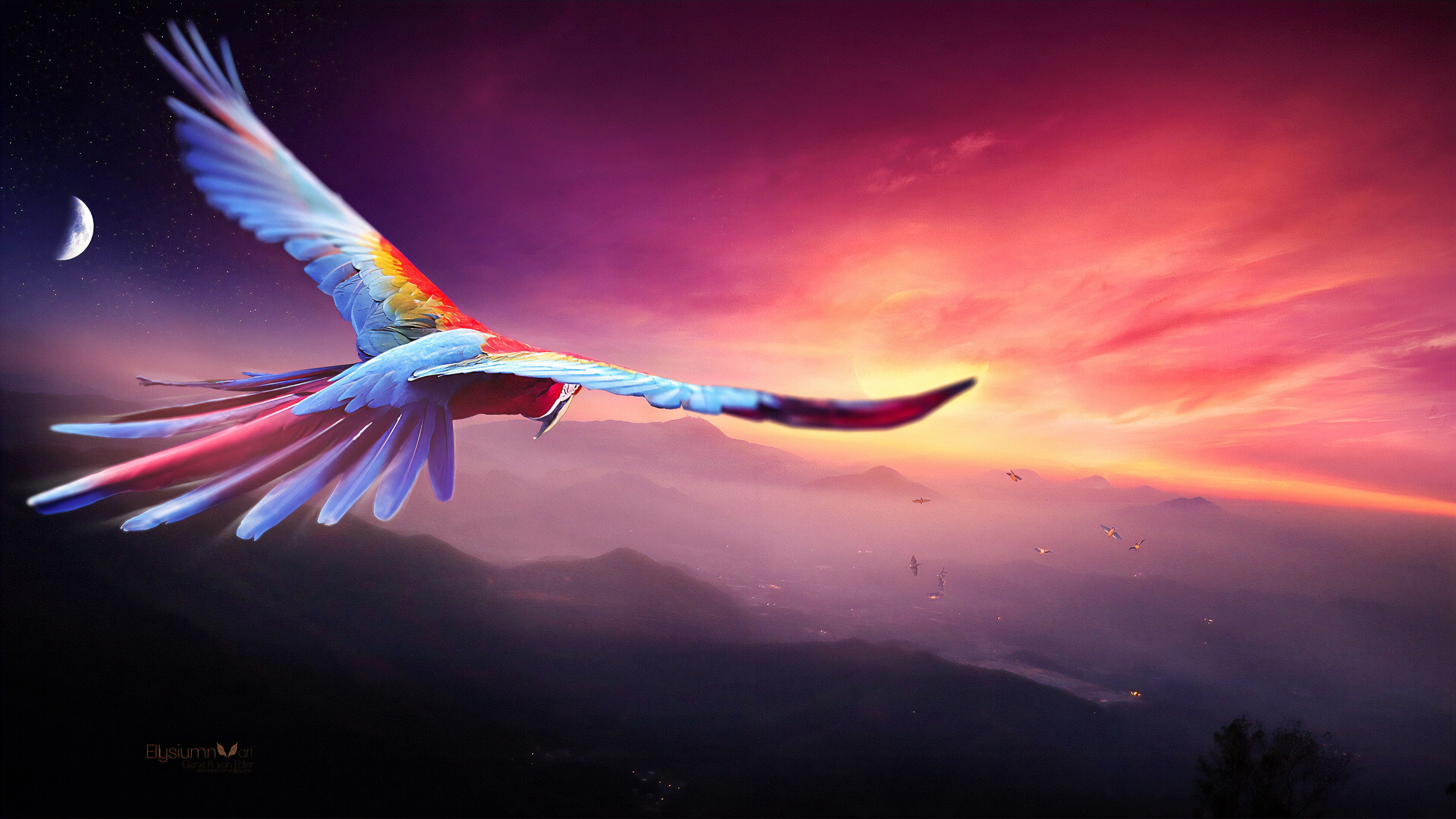 Macaw Flight Digital Art 4k Wallpaper HD Birds Image