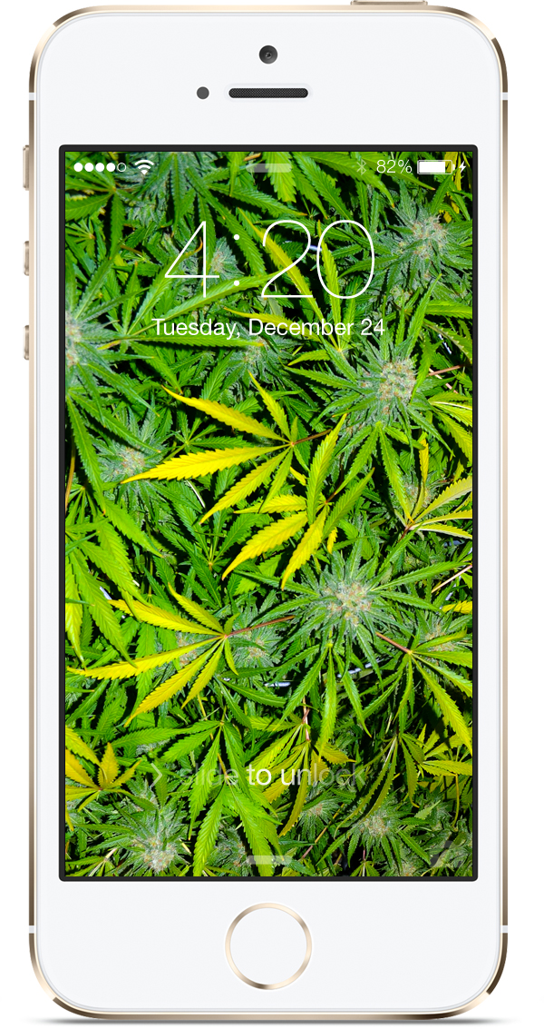 Stoner Wallpaper Weed iPhone Marijuana Leaves
