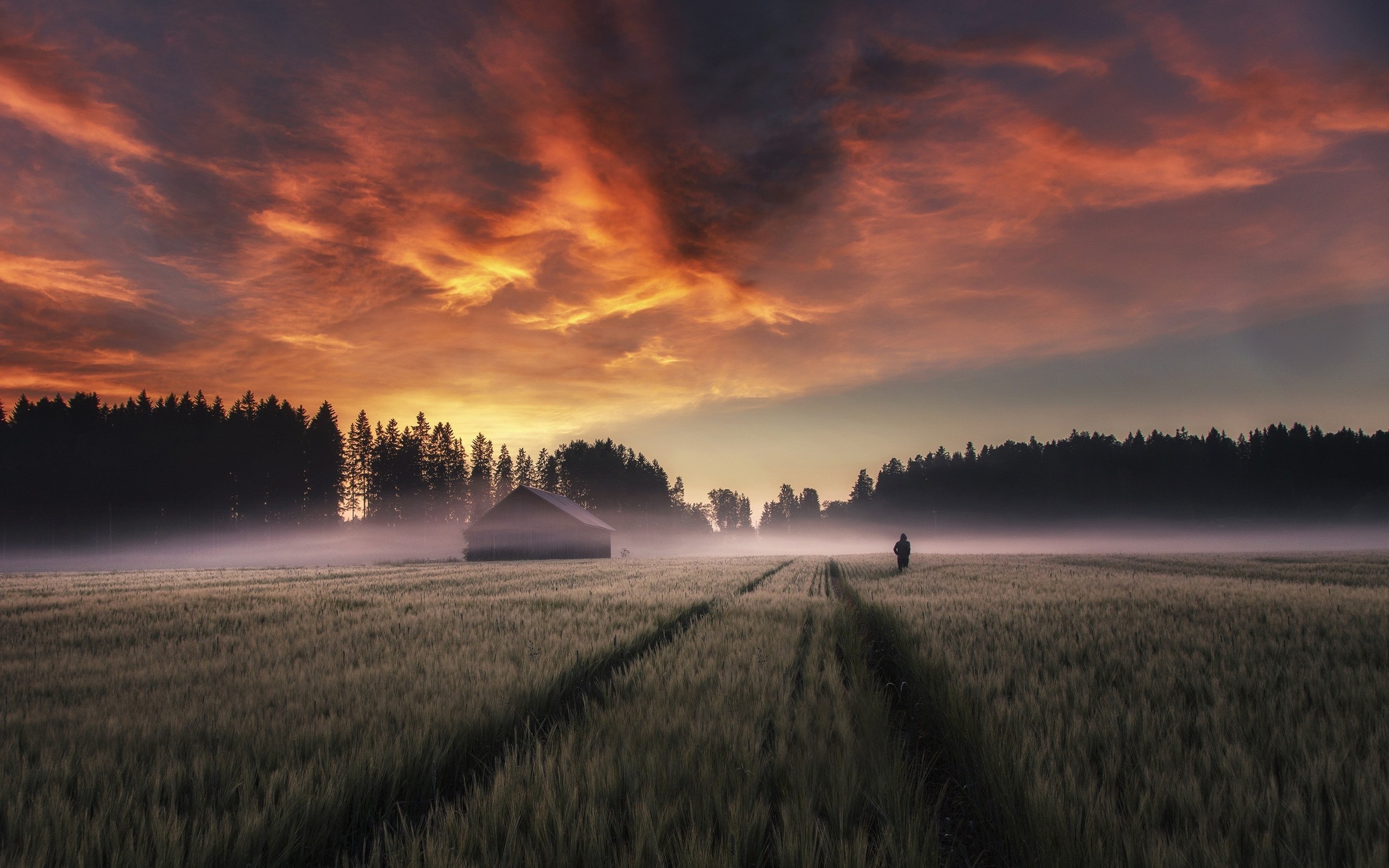 Finland Wallpaper