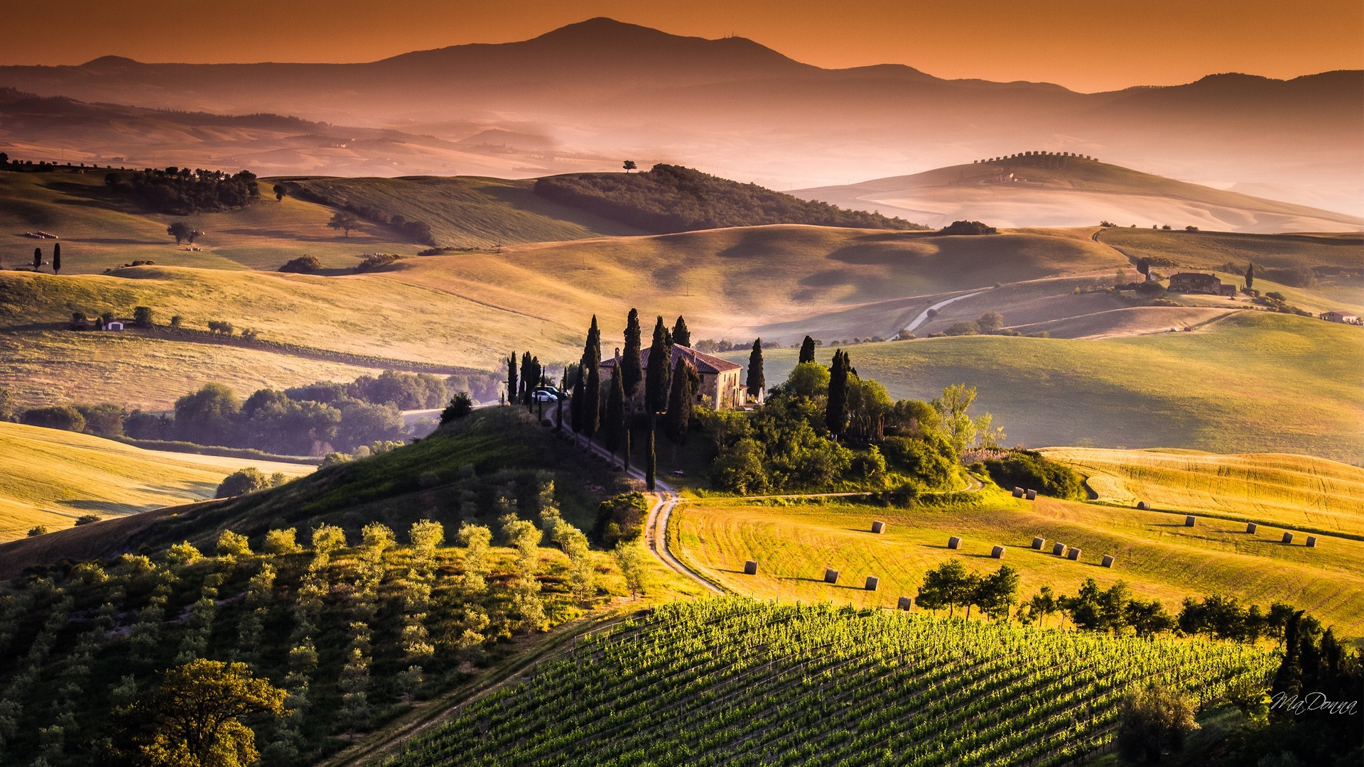 Tuscany Vineyard Wallpaper