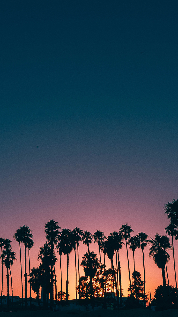 9 Summer Sunset iPhone Wallpapers To Kill That Winter Depression