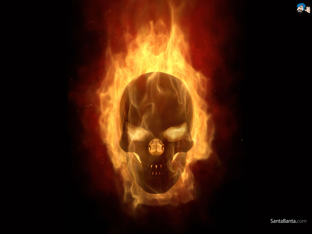 Skull On Fire Wallpaper Human