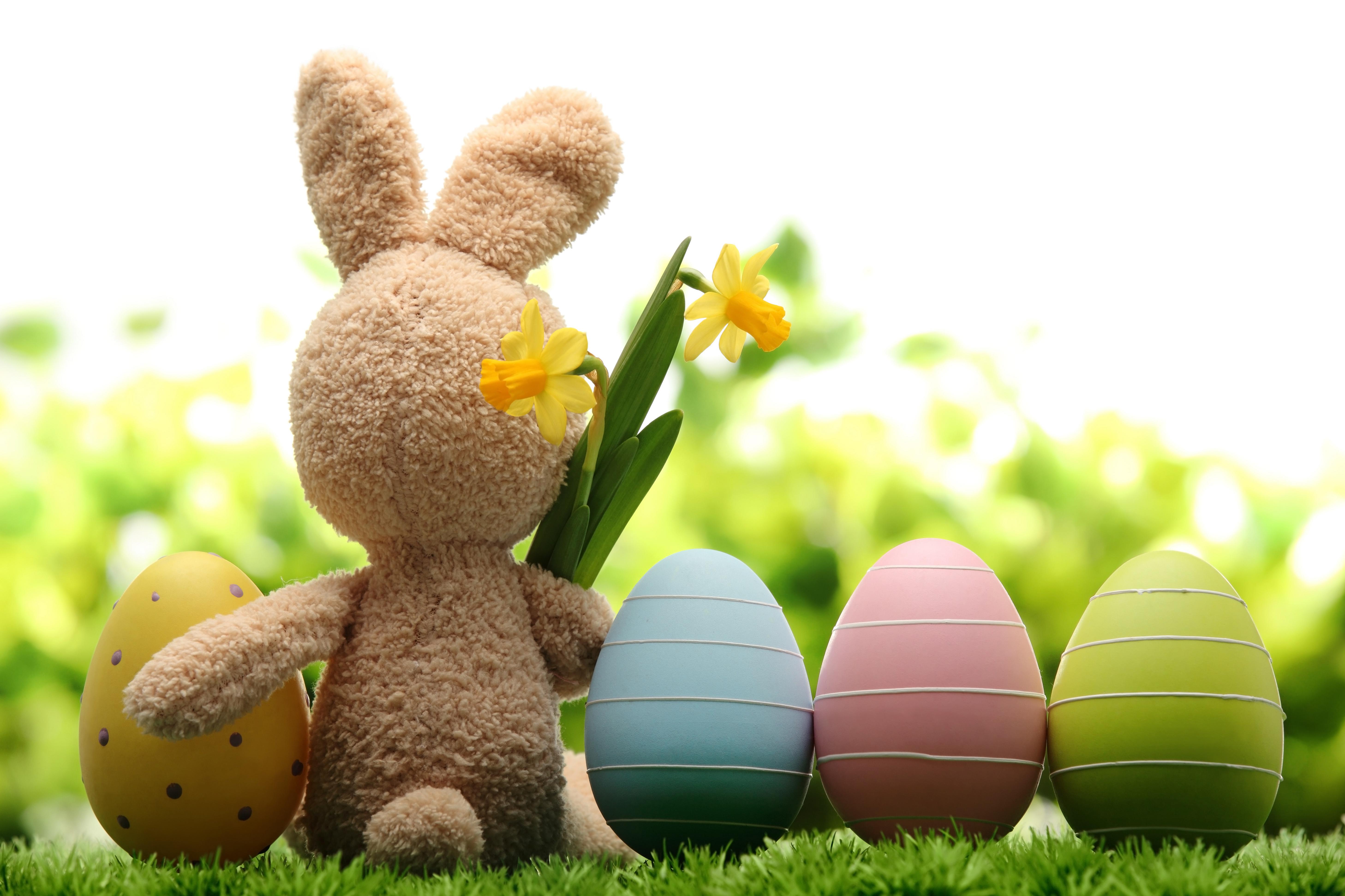 Easter Puter Wallpaper HD Image