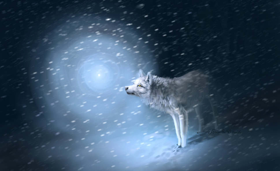 Wolf Snow Blizzard Light Traces Wallpaper