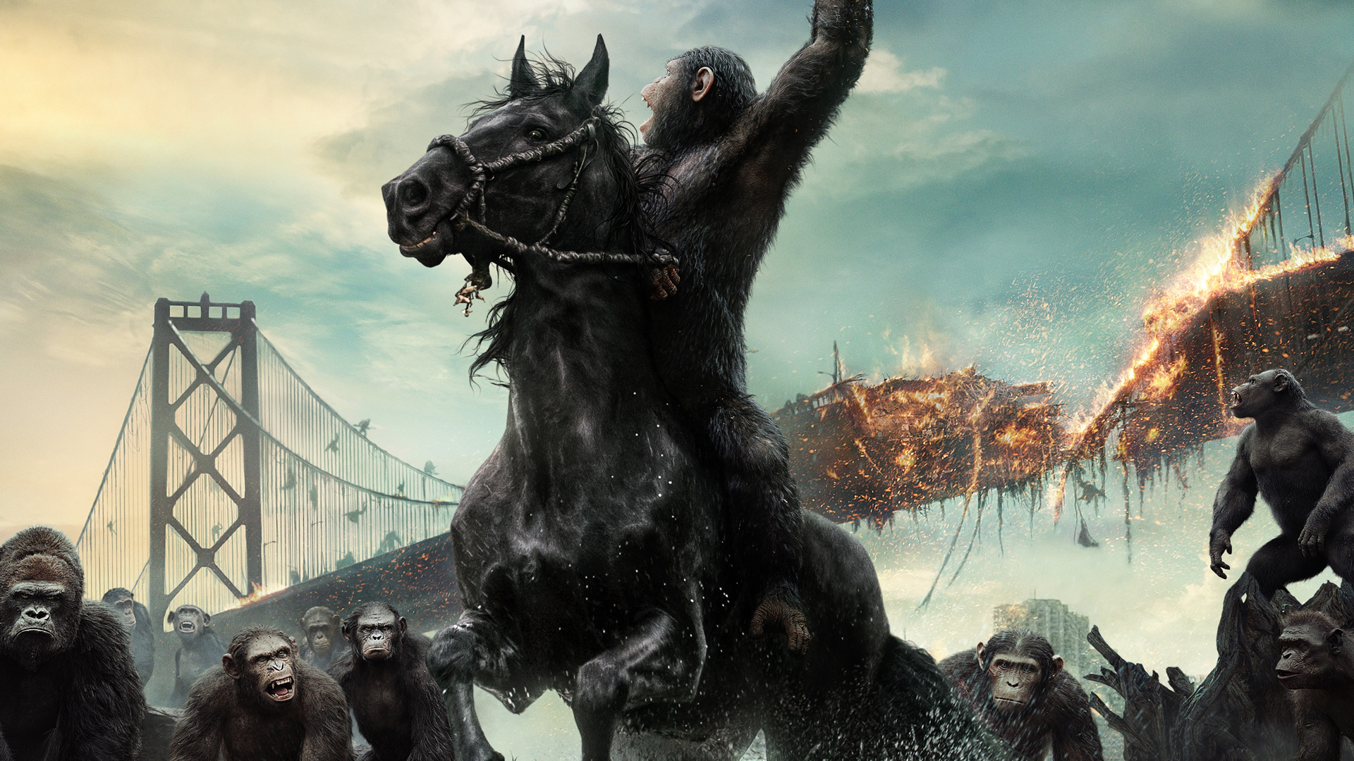 Dawn Of The Pla Apes HD 1080p And Patible For