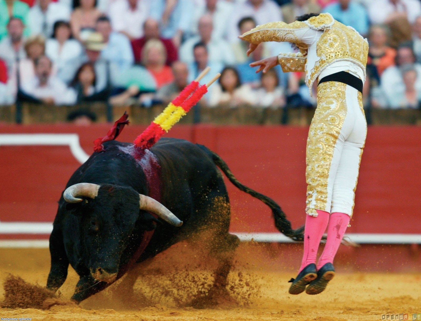 Bullfighter And Bull Wallpaper Open Walls
