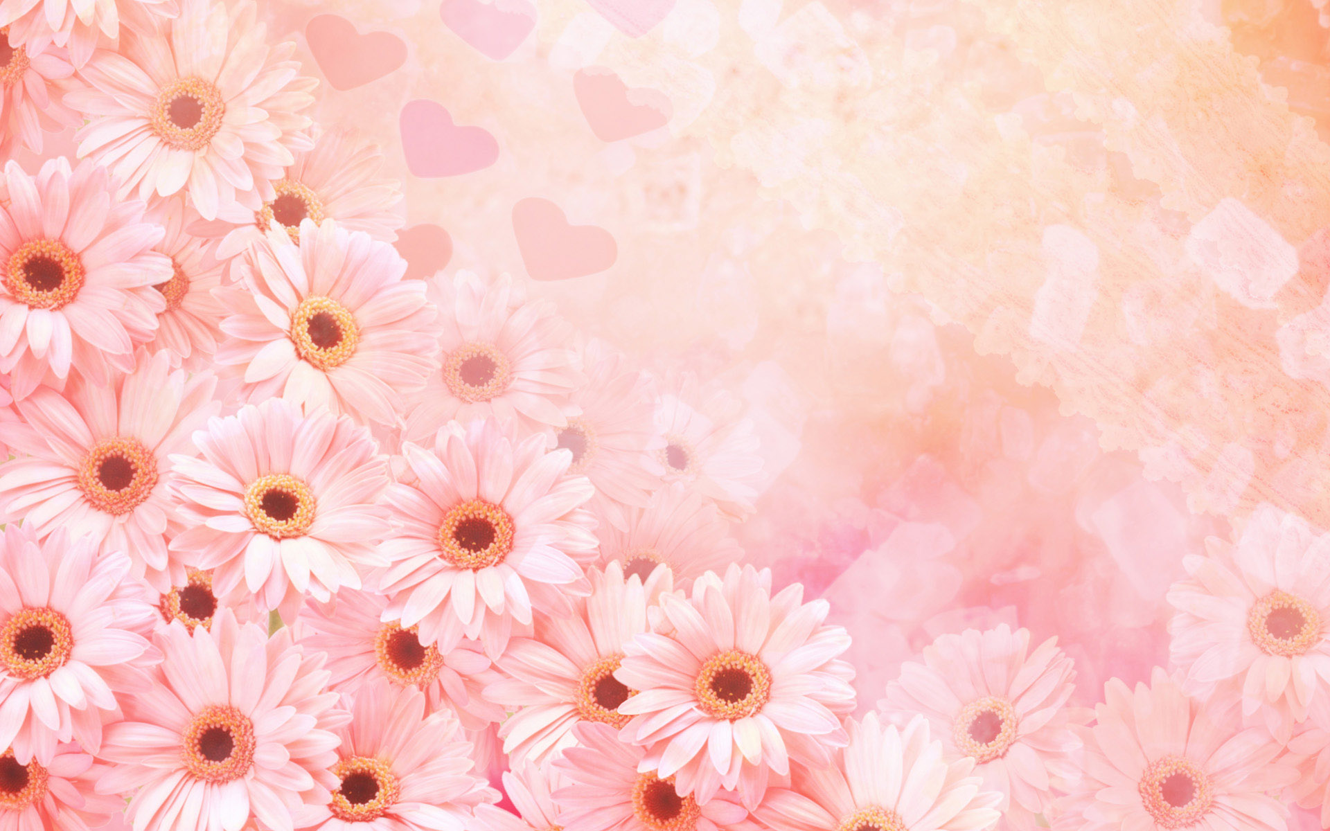 Pretty Spring Background Image Amp Pictures Becuo