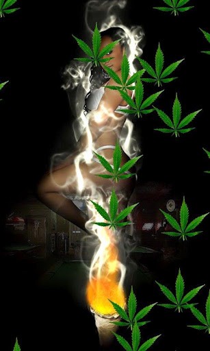 Girls These Cannabis Leaf Curl Seedlings Pot Marijuana
