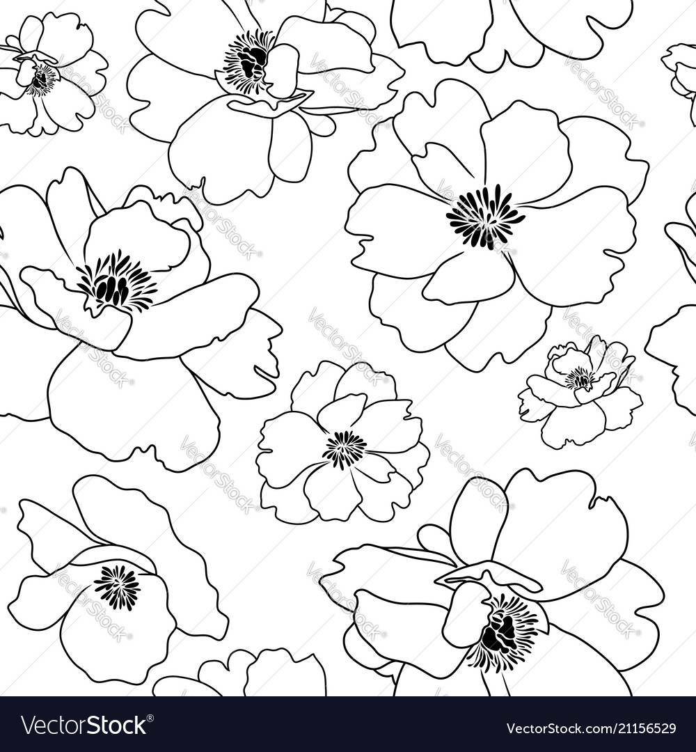 Poppy Flower Outline Seamless Background Vector Image