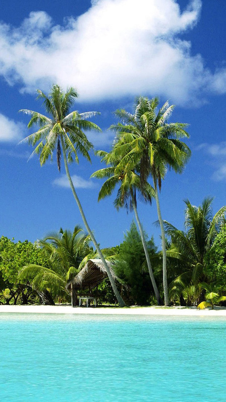 Bạn đang muốn tìm kiếm một bức ảnh về bãi biển nhiệt đới để làm hình nền cho iPhone của mình? Bức ảnh này chắc chắn sẽ khiến bạn thỏa mãn. Với khung cảnh tuyệt đẹp về bãi biển và một chút nắng ấm, bạn có thể cảm thấy như mình đang đứng trên bãi biển nhiệt đới thực sự. 