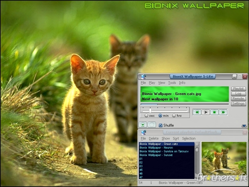Use an Animated GIF As Desktop Wallpaper in Windows 11/10