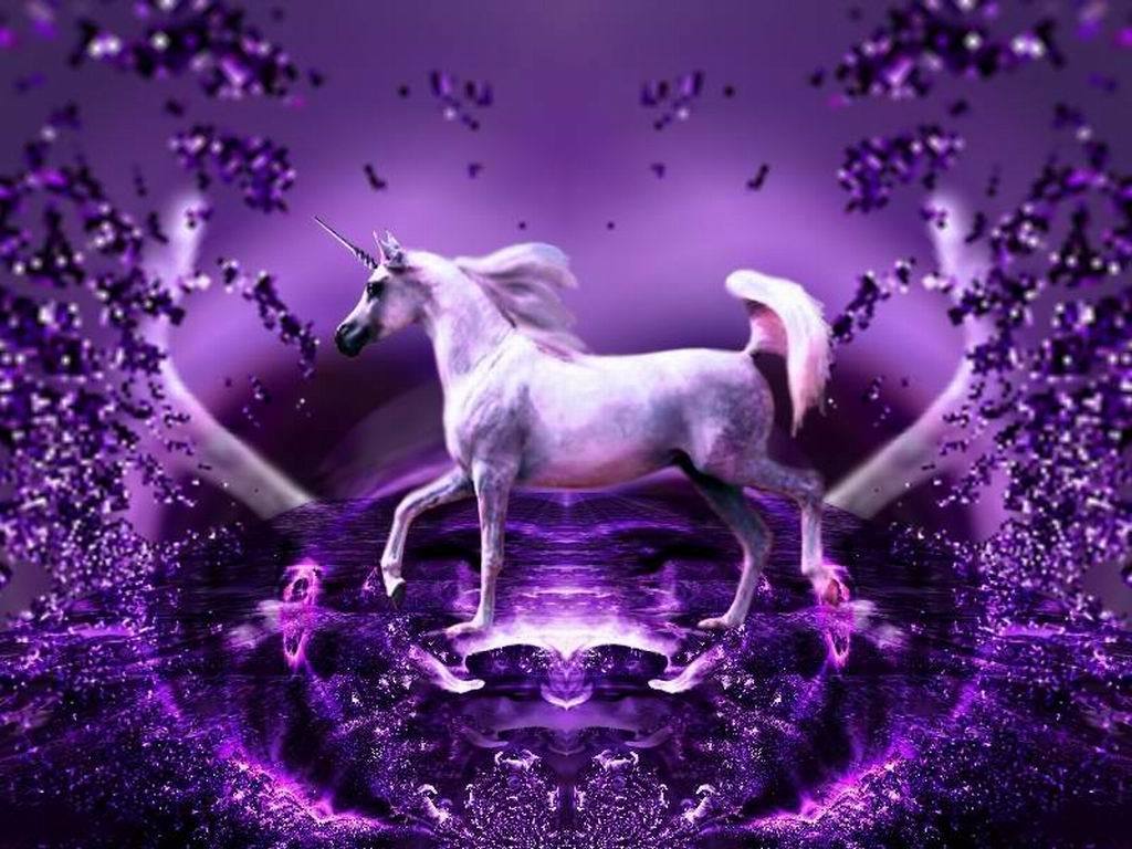 Unicorns Image Purple Wonder Wallpaper Photos