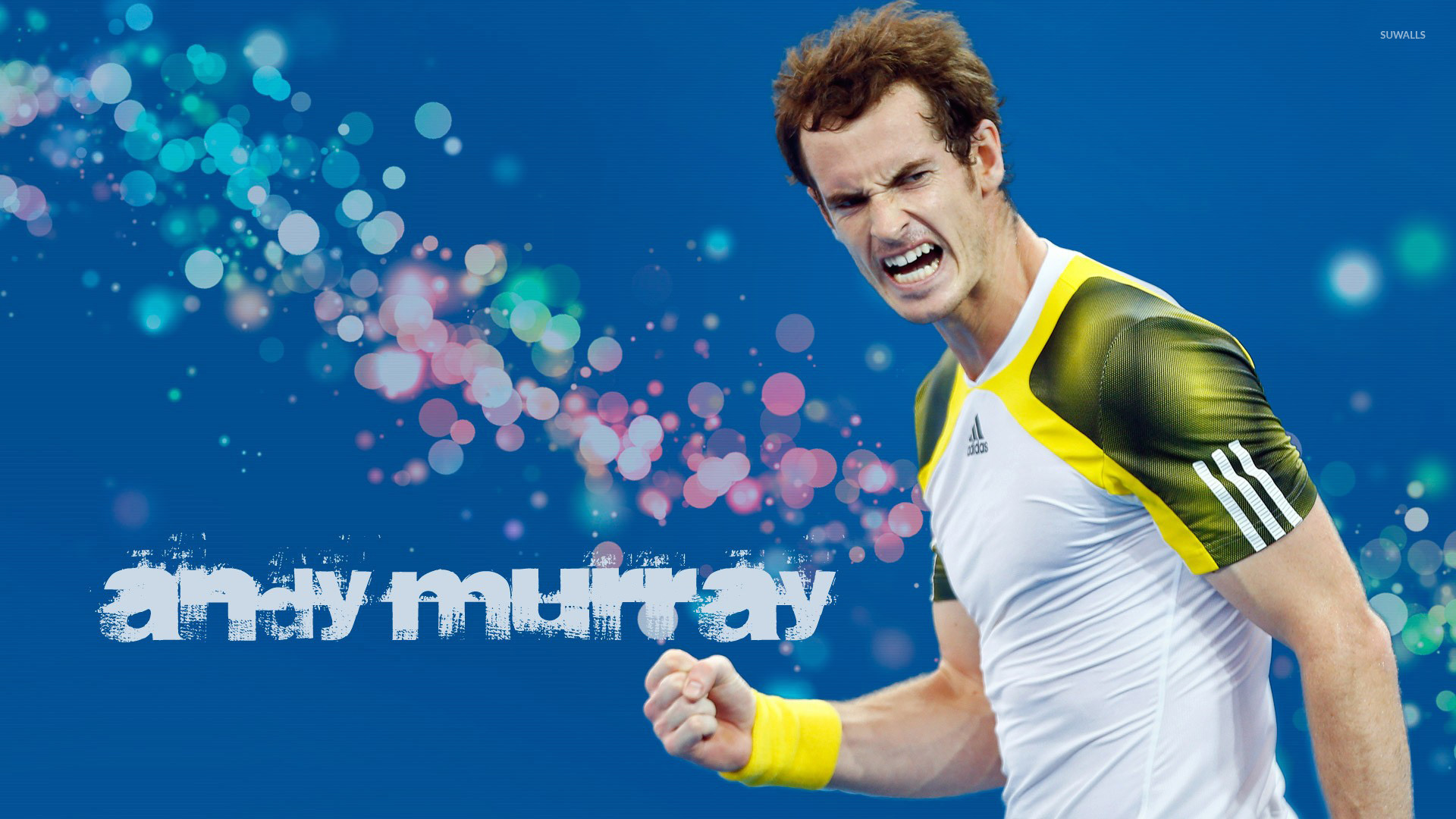 Andy Murray Wallpaper Sport