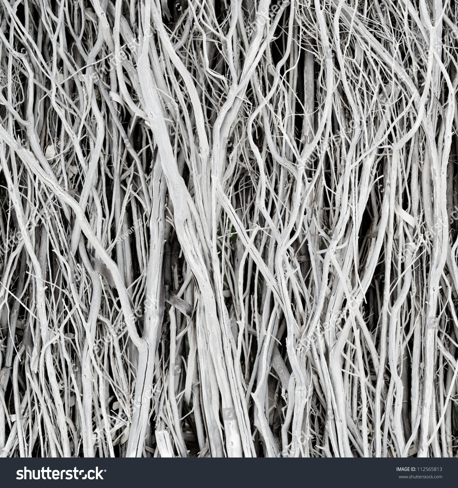 Photo Twigs Background Tree Fence
