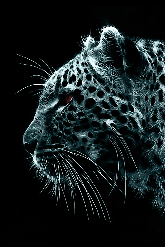 Black Leopard Simply Beautiful iPhone Wallpaper