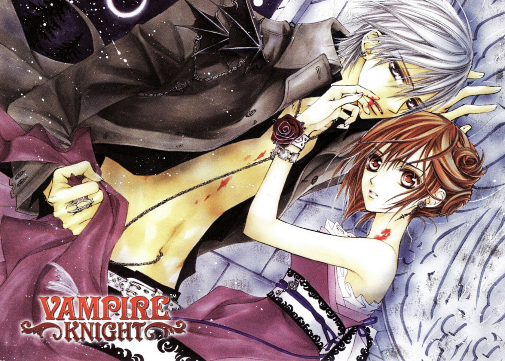 Vampire Knight Wallpaper X Anime Cubed