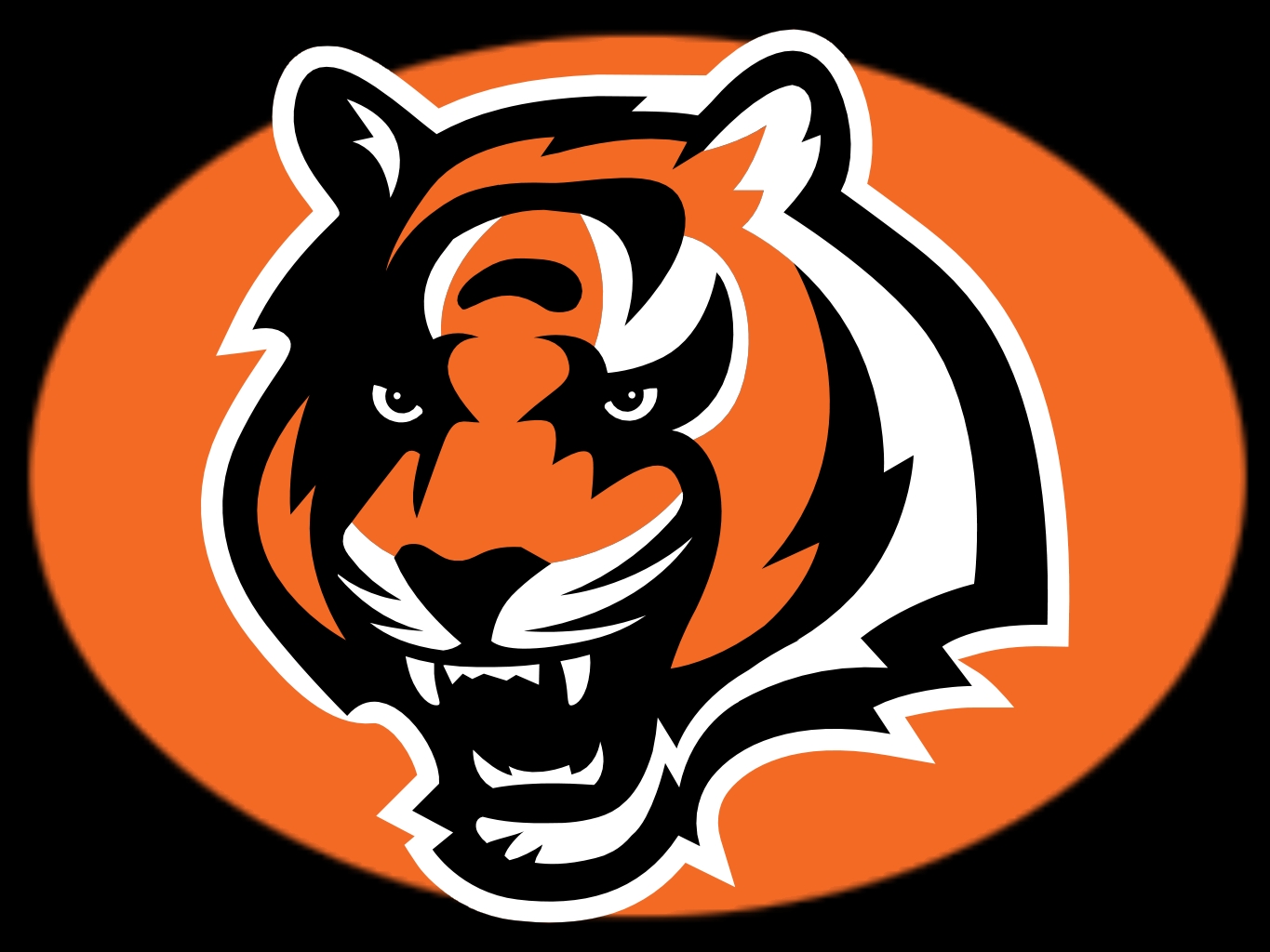 Cincinnati Bengals By Cincinnatisportsmed