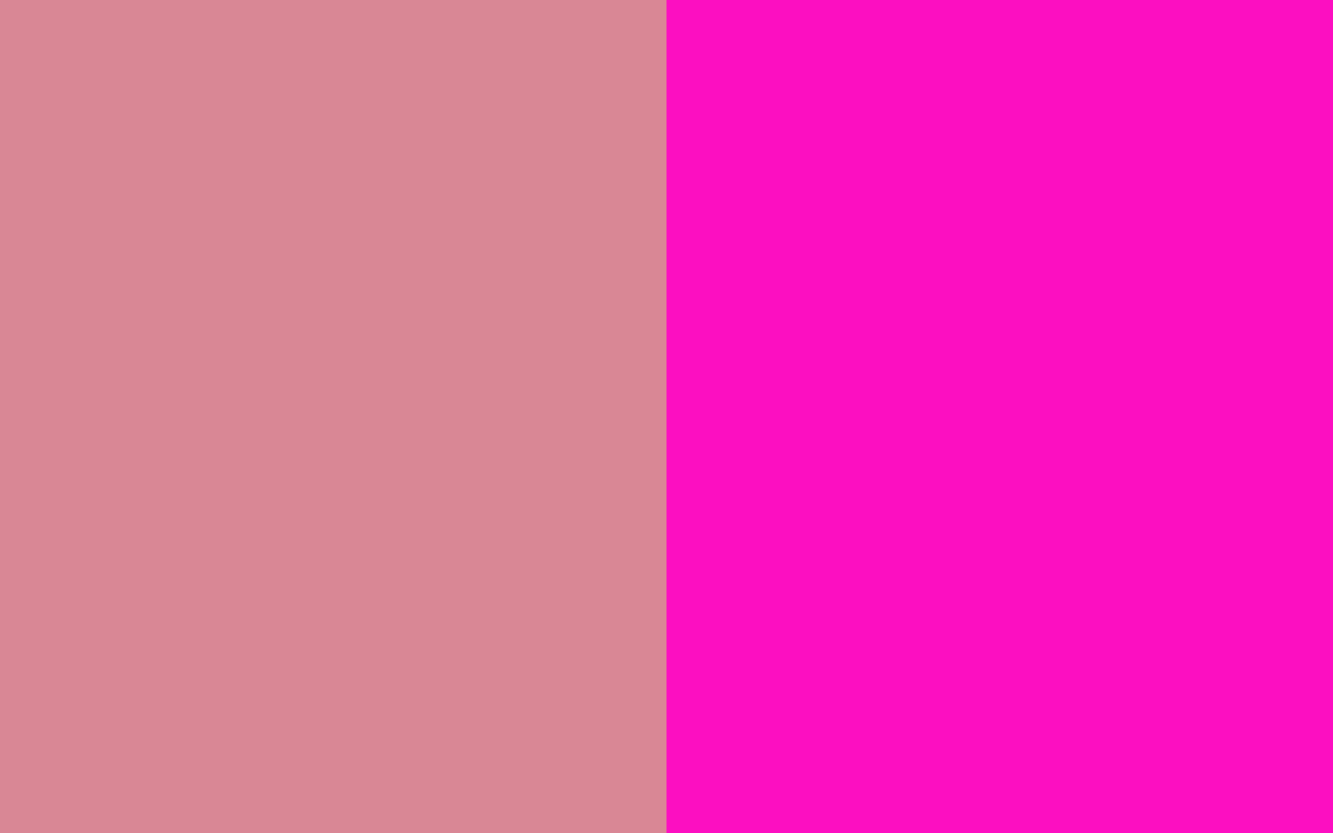 Shimmering Blush And Shocking Pink Two Color Background