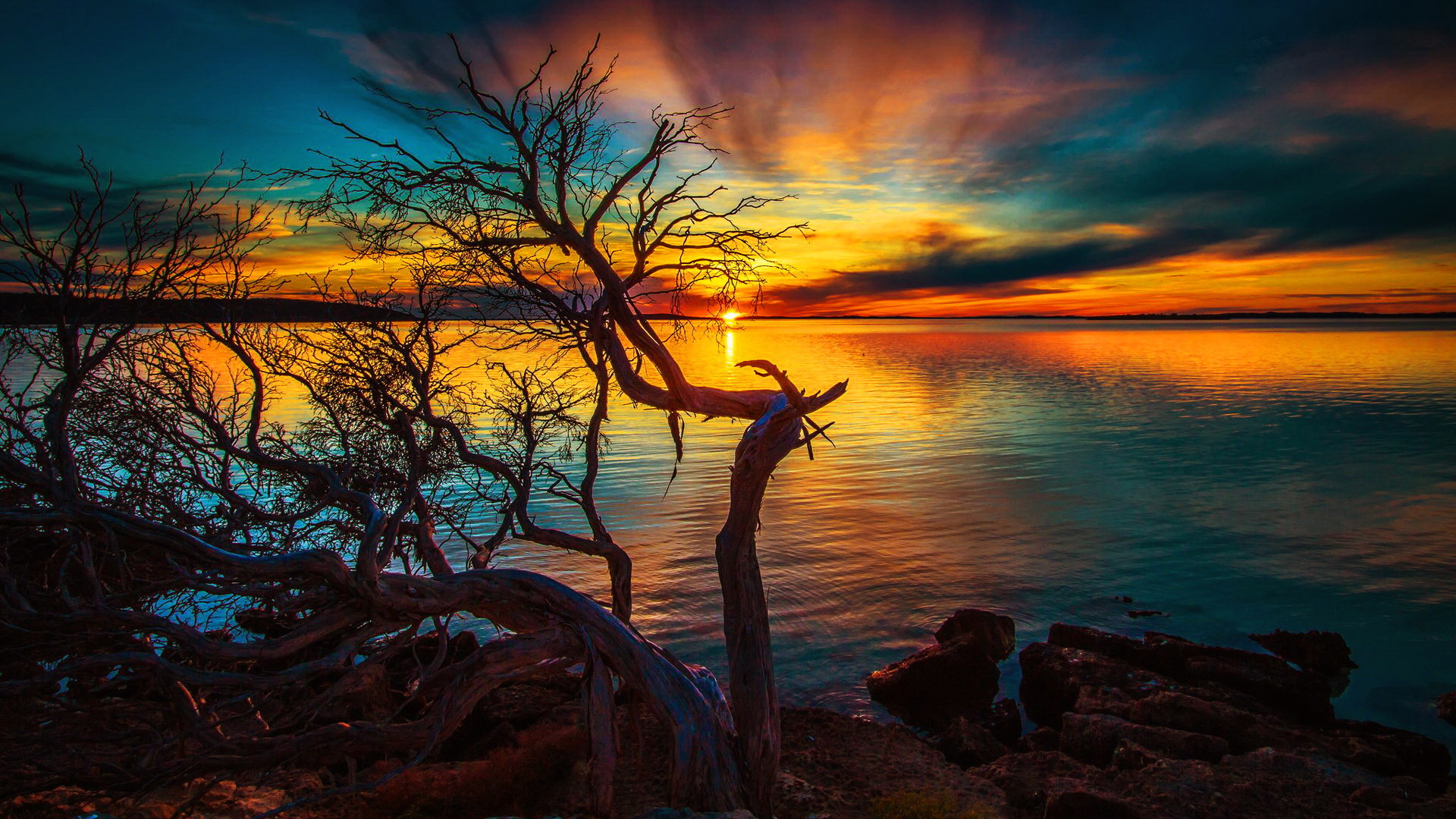 HD Nature Wallpaper
