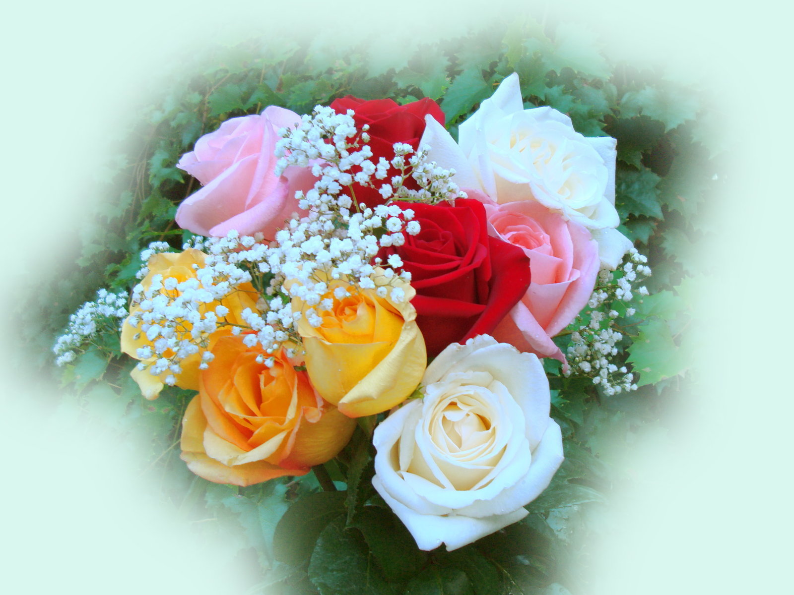 Roses Bouquets Wallpaper