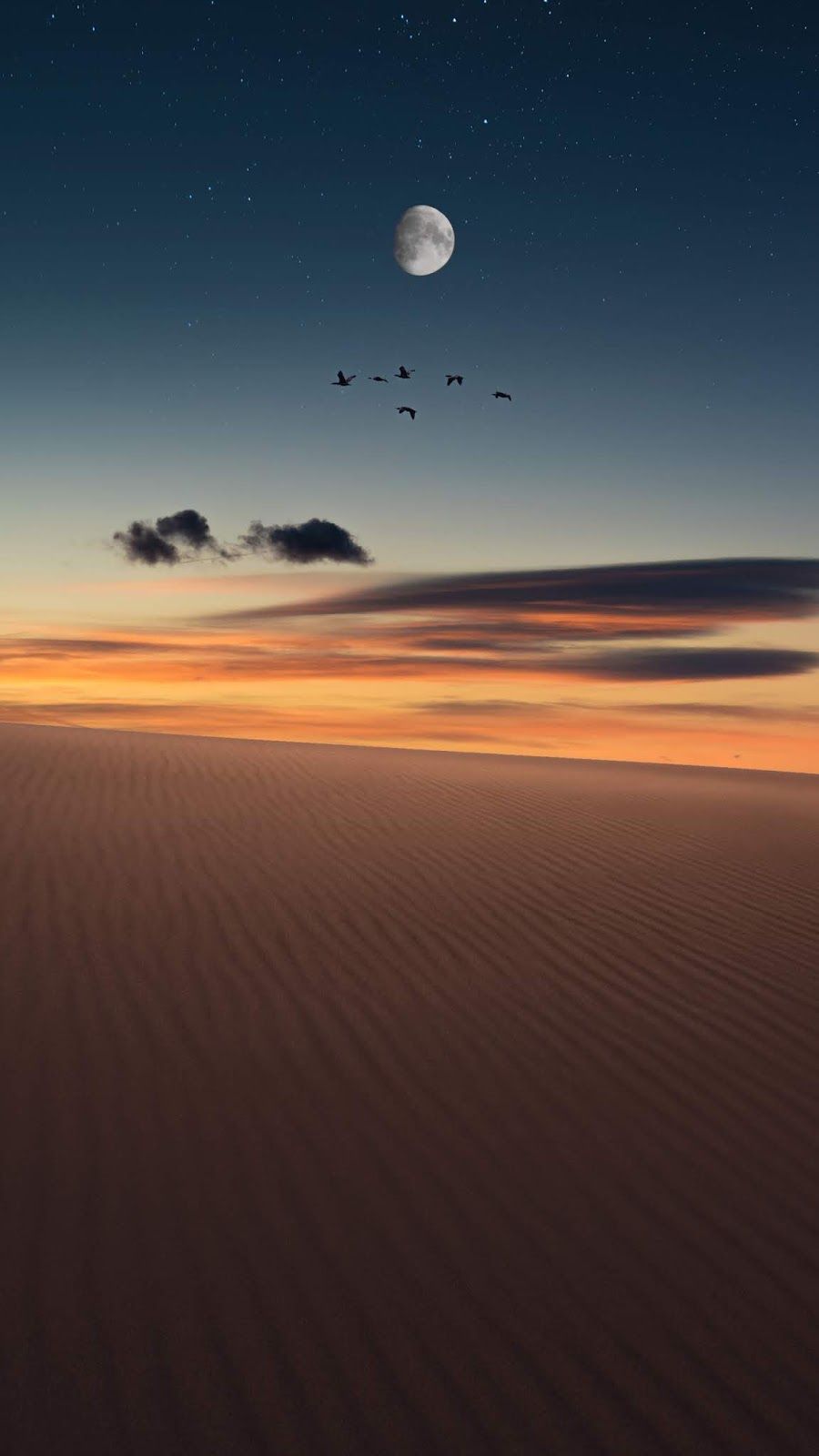 Desert Night Sky Sunset iPhone Wallpaper