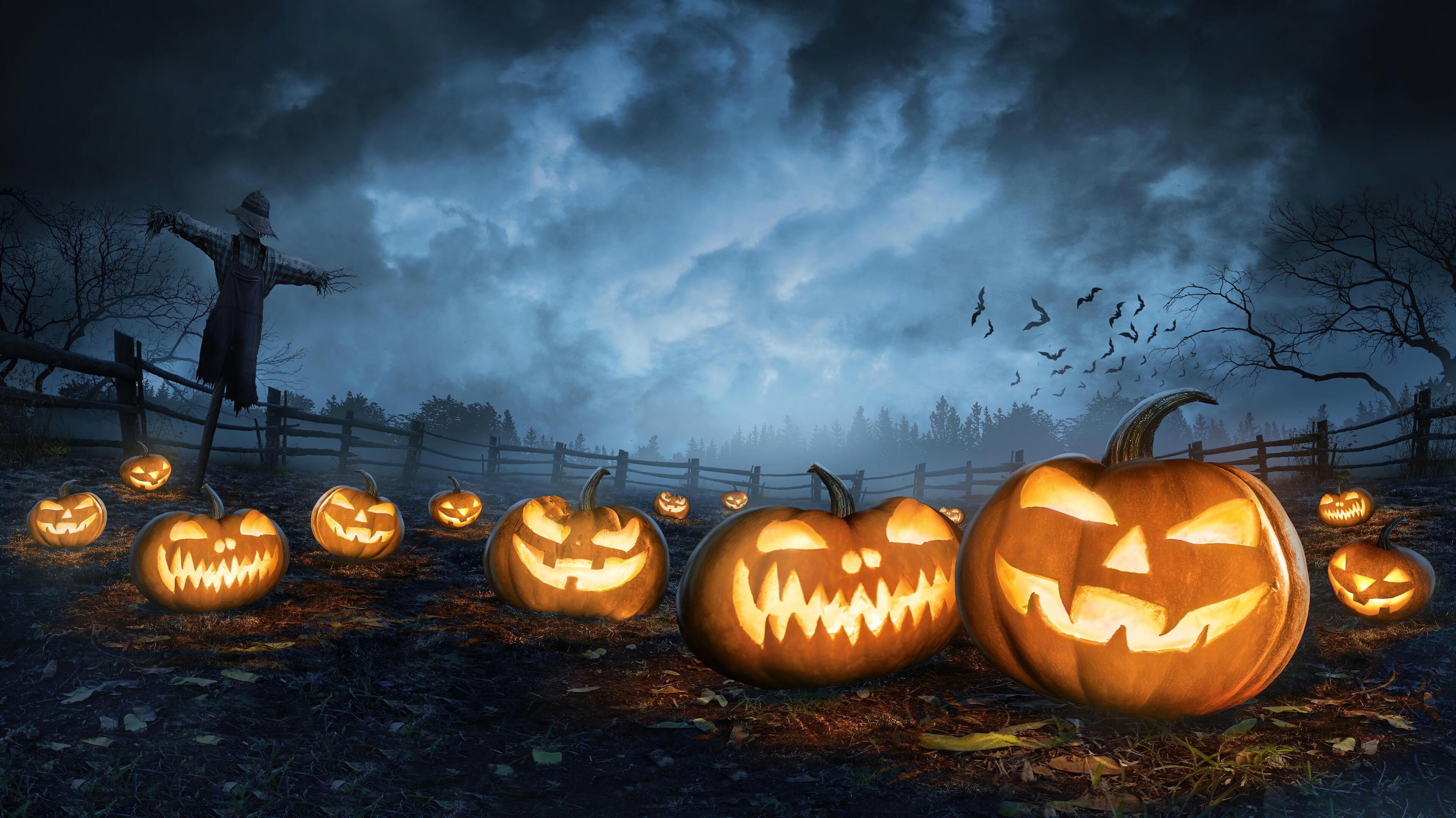 Halloween Night Pumpkin Scarecrow 4k Wallpaper iPhone HD Phone 3600h