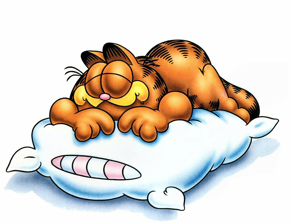 Garfield The Cat Pictures And Wallpapers