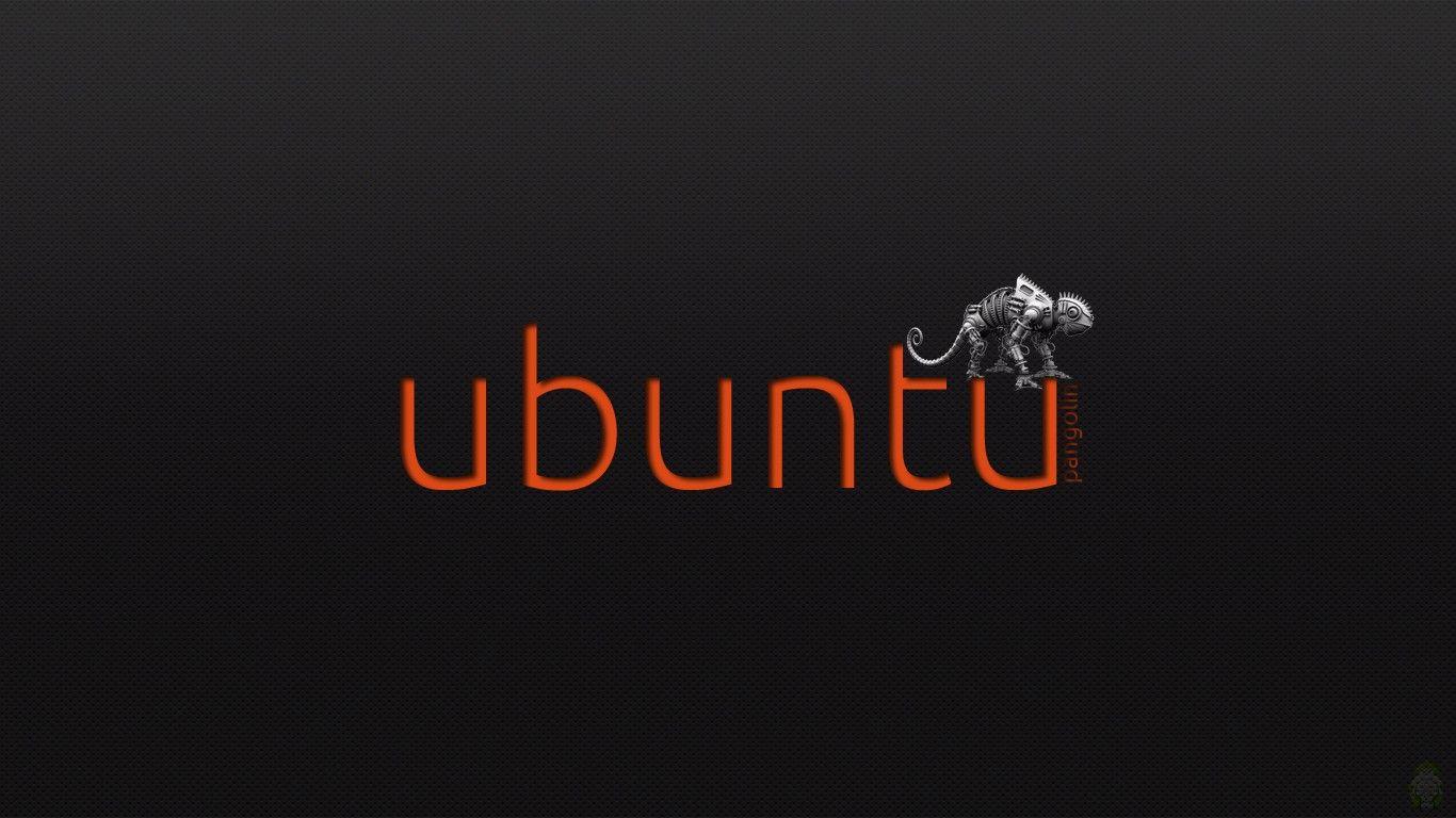 Best Ubuntu Wallpaper