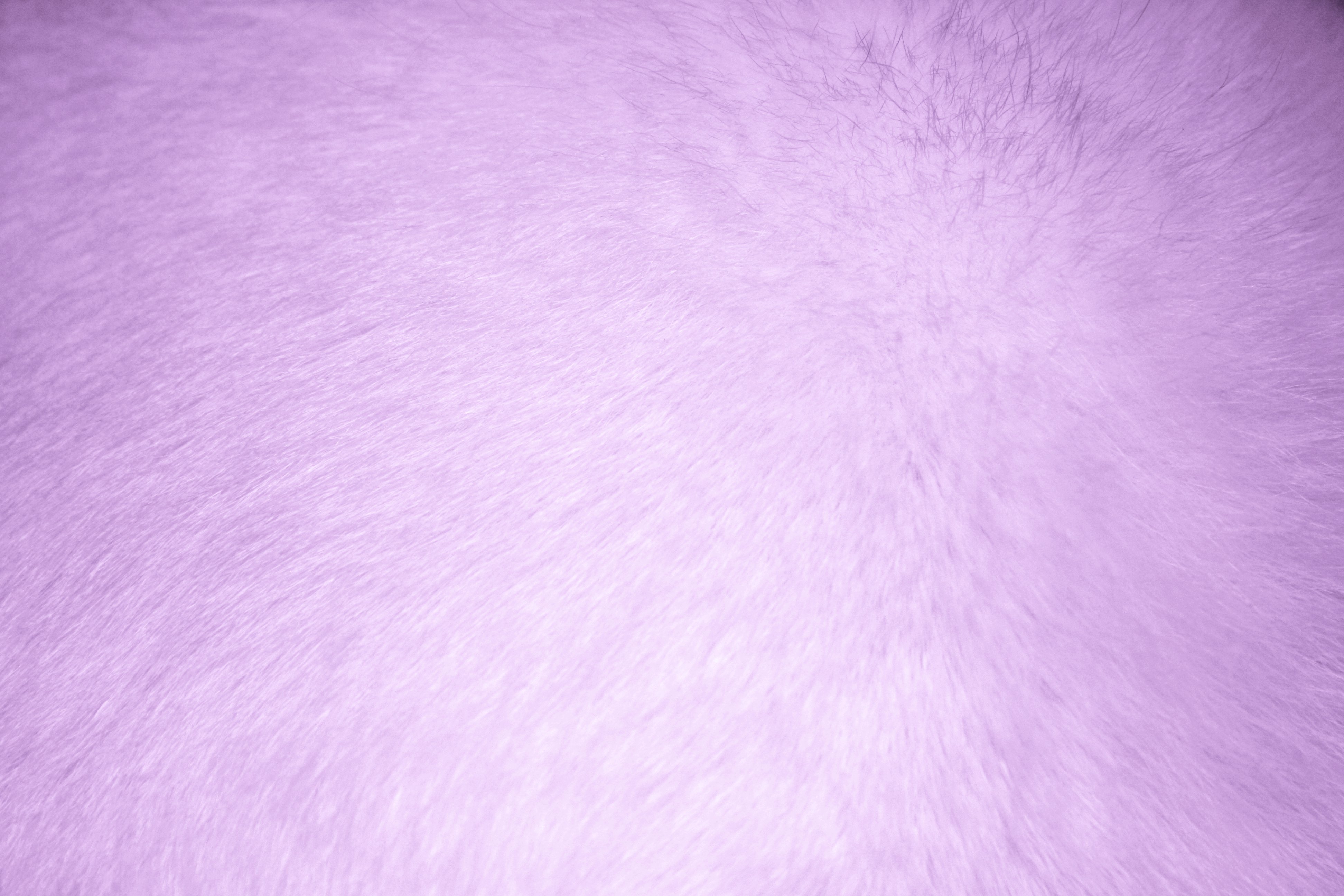 Cute Light Purple Backgrounds   Viewing Gallery