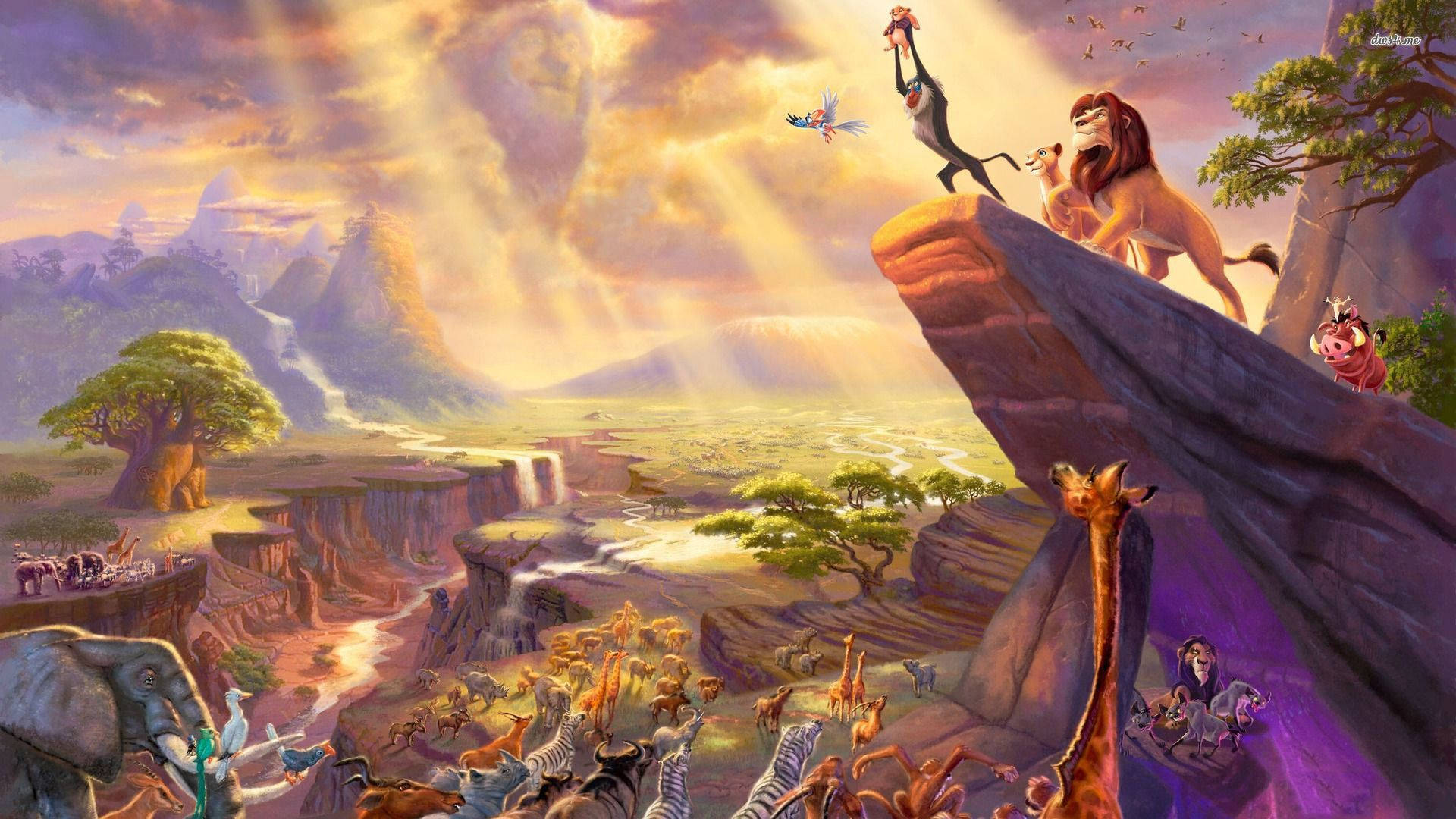 Lion King Wallpaper