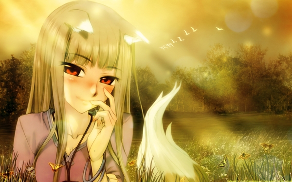 Girls Animal Ears Spice And Wolf Holo The Wise