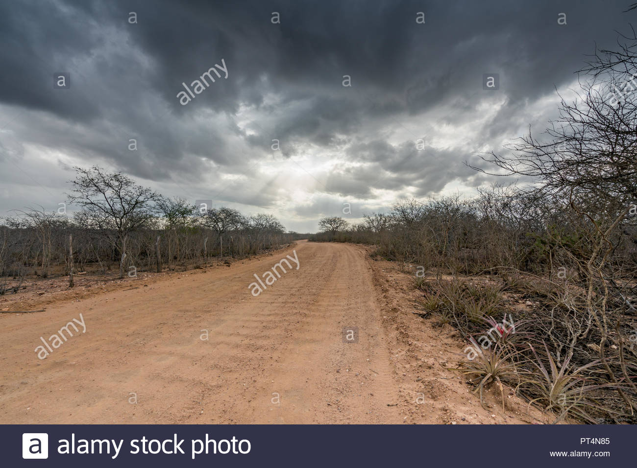 Countryside Dry Desert Road Landscape Background With Northeast
