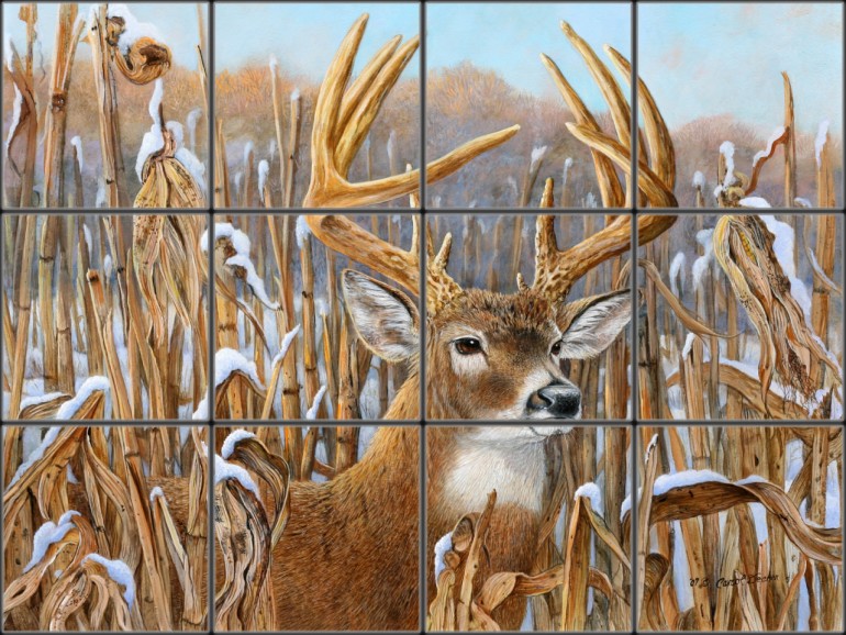 Whitetail Deer Mural Wallpaper Murals Pictures