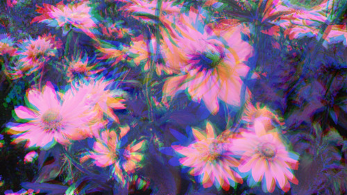 Flowers Psychedelic Trippy Image On Favim