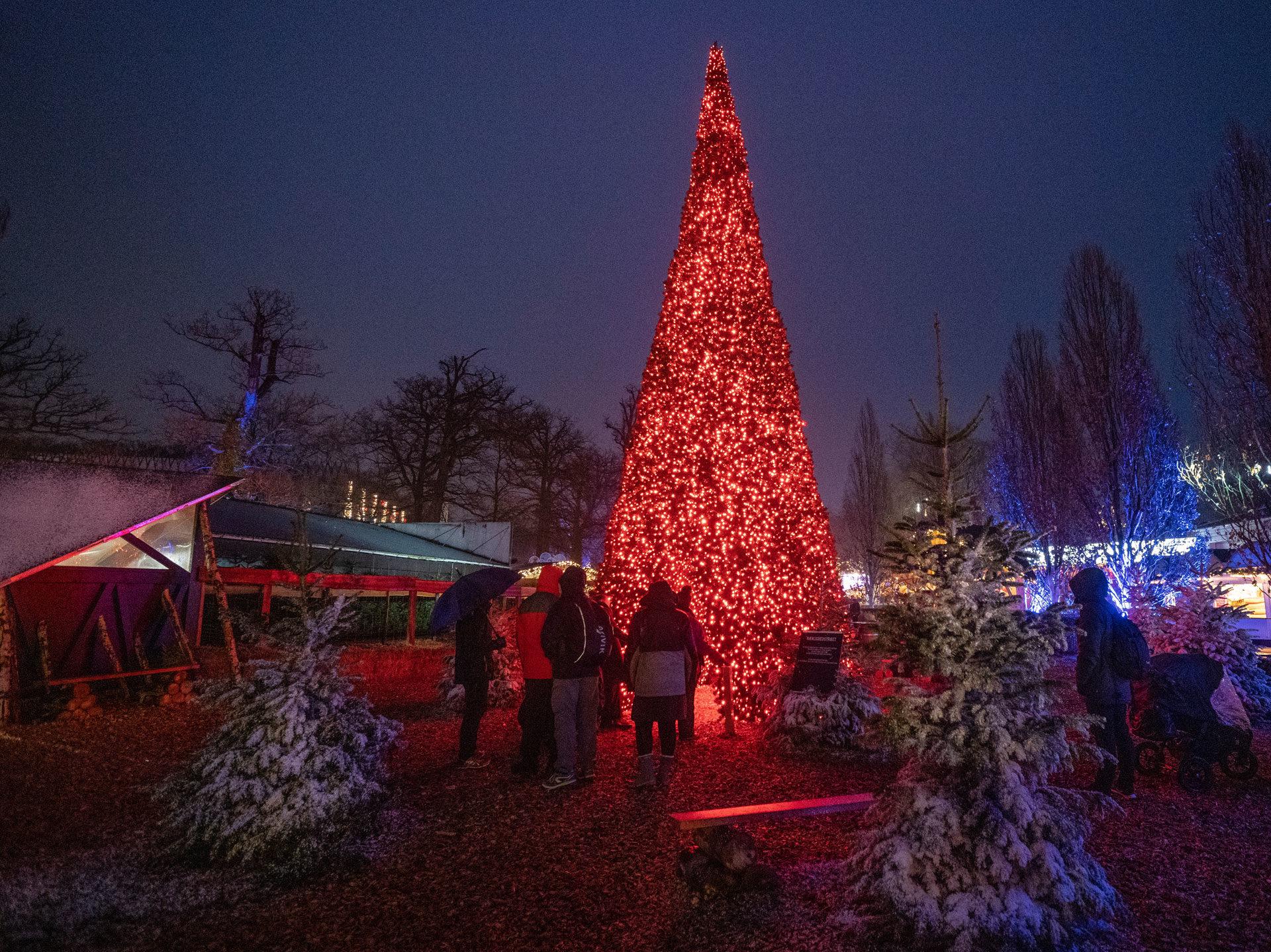 Interactive Christmas Tree Shares The Love Mk Illumination
