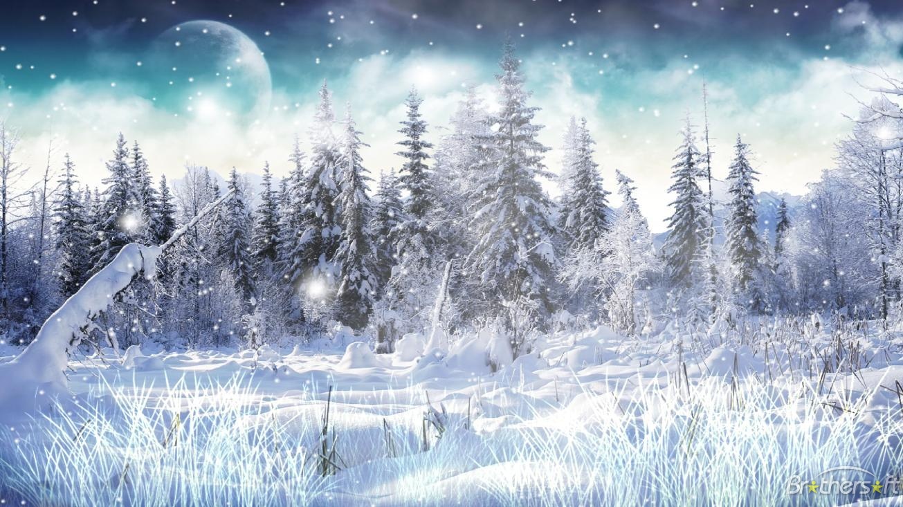 Snow Animated Wallpaper Winter