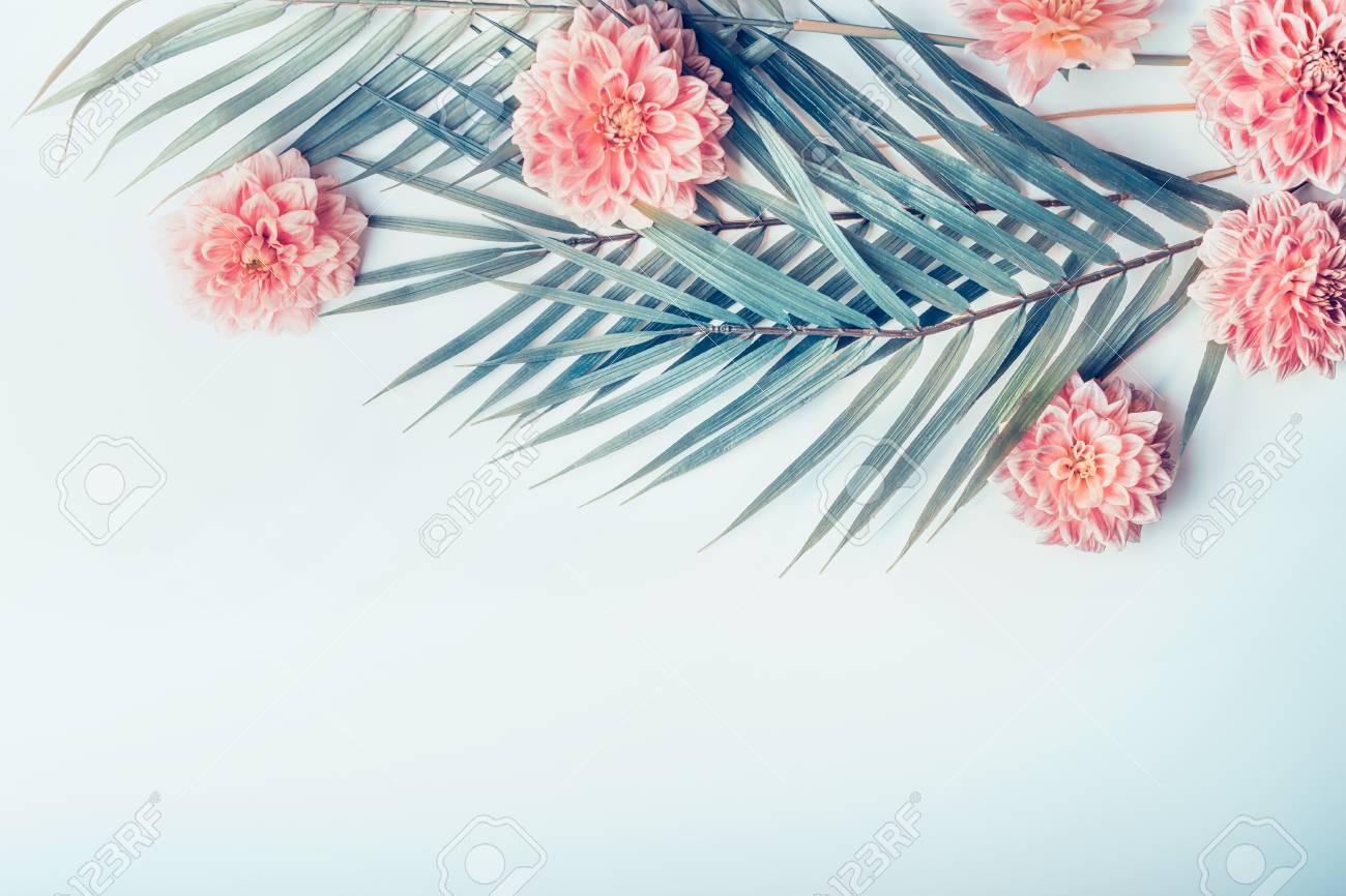 Creative Layout With Tropical Palm Leaves And Pastel Pink Flowers