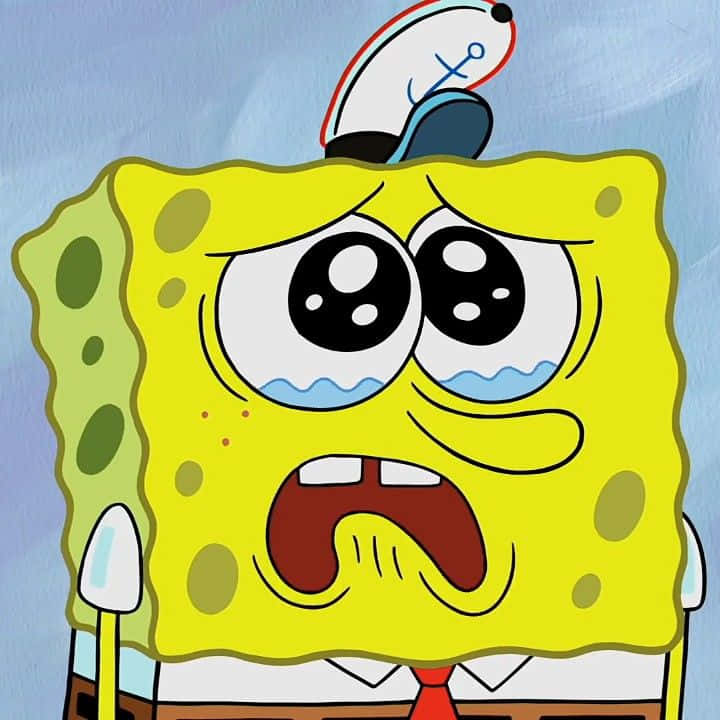 Spongebob Crying Wallpaper
