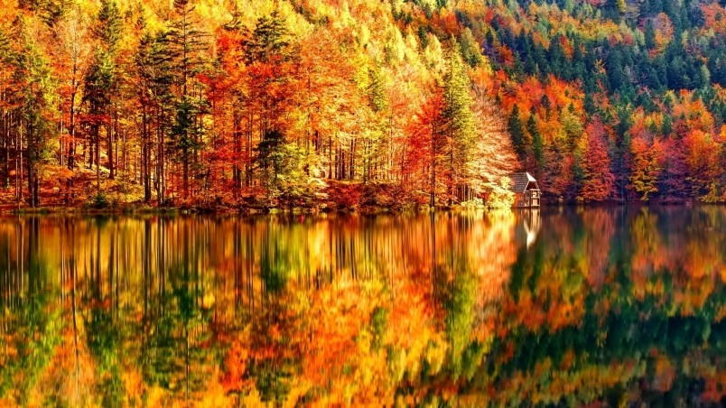 Autumn Landscape HD Wallpaper Wallpaperfx