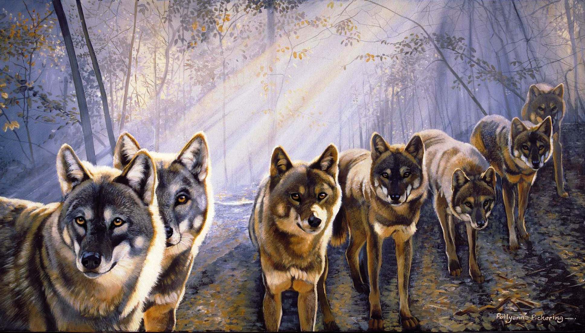 Wolfpack Wallpaper